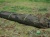 Шелтер быстросборный Fox Easy Brolly Шелтер быстросборный Fox Easy Brolly