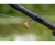 Фидерное удилище Preston Supera X Feeder Rods 10ft Фидерное удилище Preston Supera X Feeder Rods 10ft