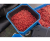 Контейнер для приманок Preston 4 Pint Bait Tub Контейнер для приманок Preston 4 Pint Bait Tub